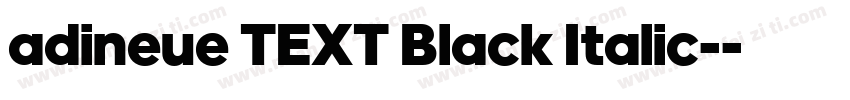adineue TEXT Black Italic-字体转换